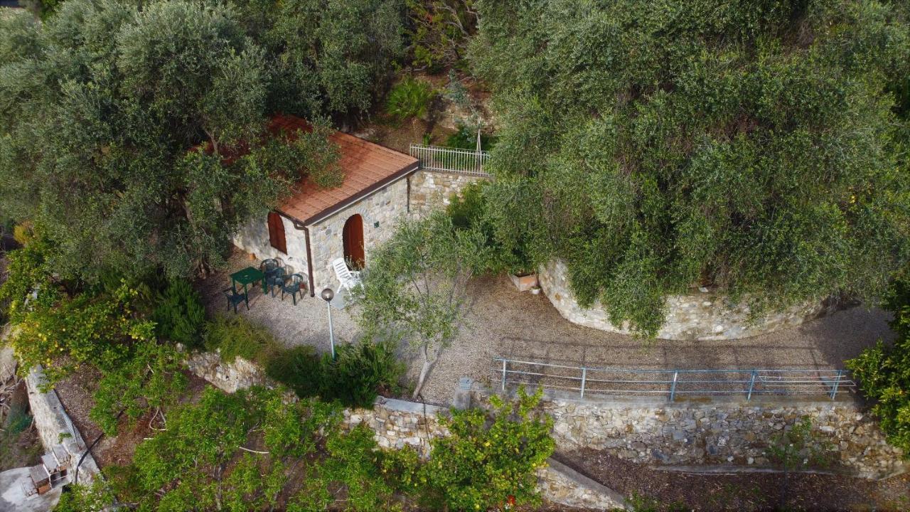 U Ciousu By Ligurian Life Appartamenti In Agriturismo Vallebona Exterior foto