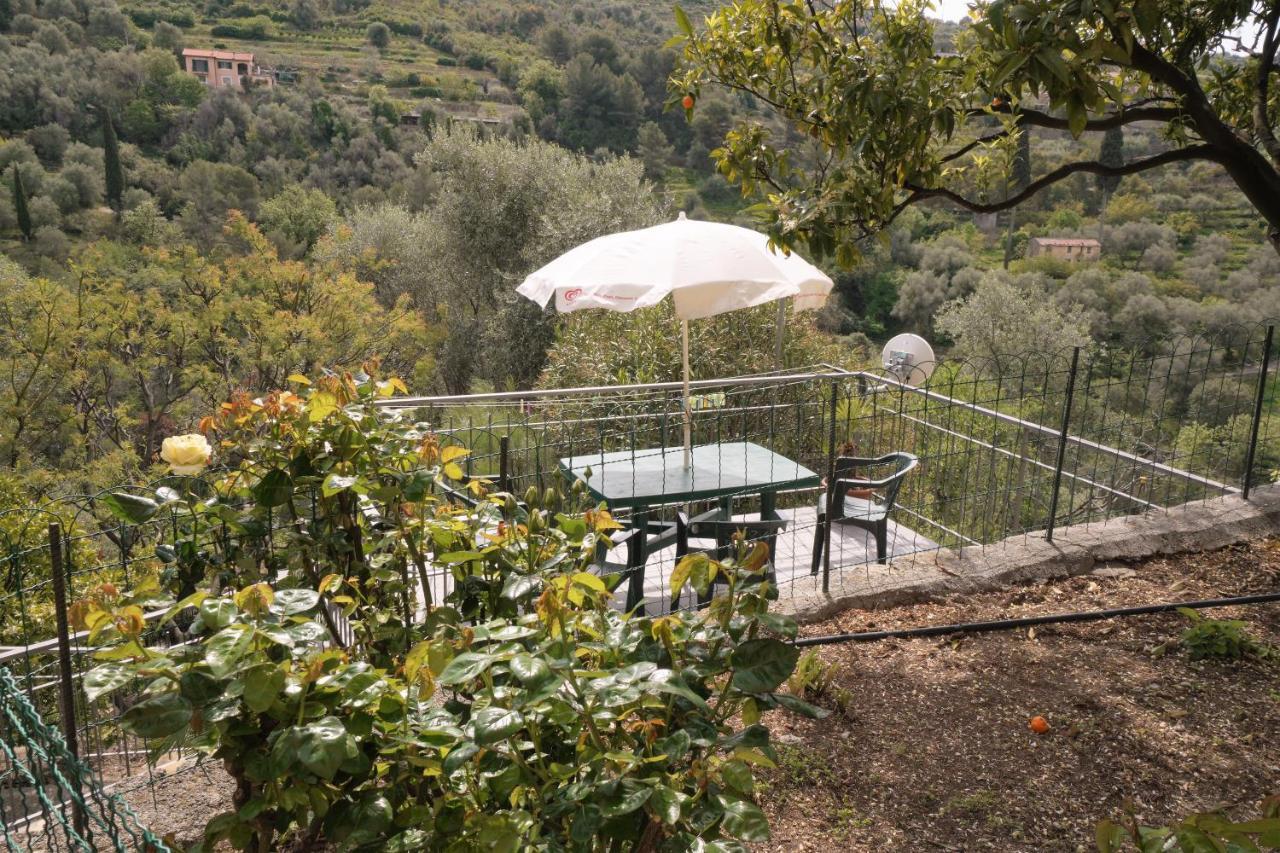 U Ciousu By Ligurian Life Appartamenti In Agriturismo Vallebona Exterior foto