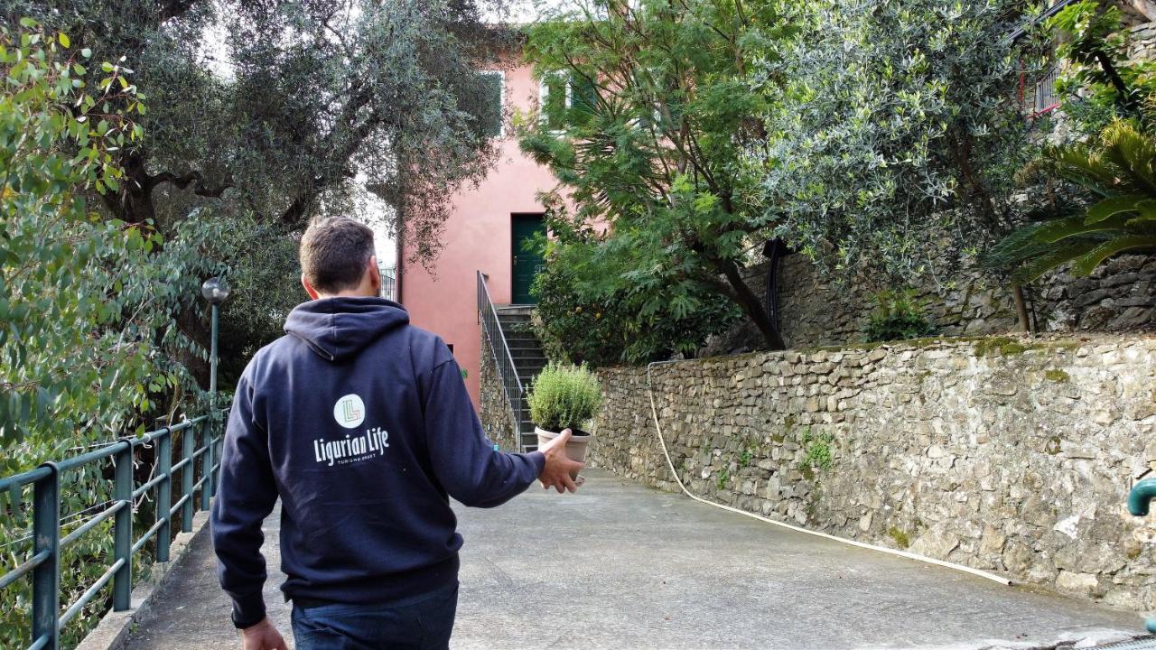 U Ciousu By Ligurian Life Appartamenti In Agriturismo Vallebona Exterior foto