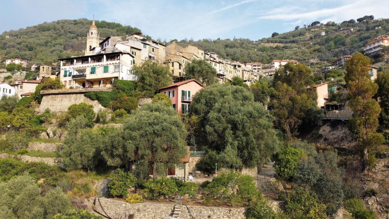 U Ciousu By Ligurian Life Appartamenti In Agriturismo Vallebona Exterior foto